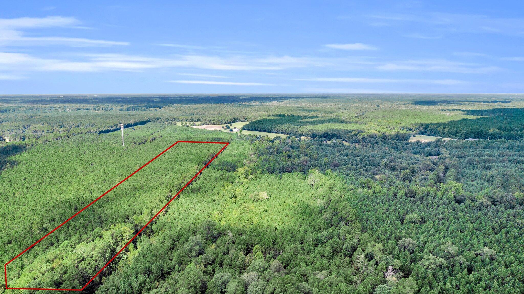 0 Jedburg Road Summerville, SC 29486 - Photo 6 of 14 CREM - 0 Jedburg Rd-6