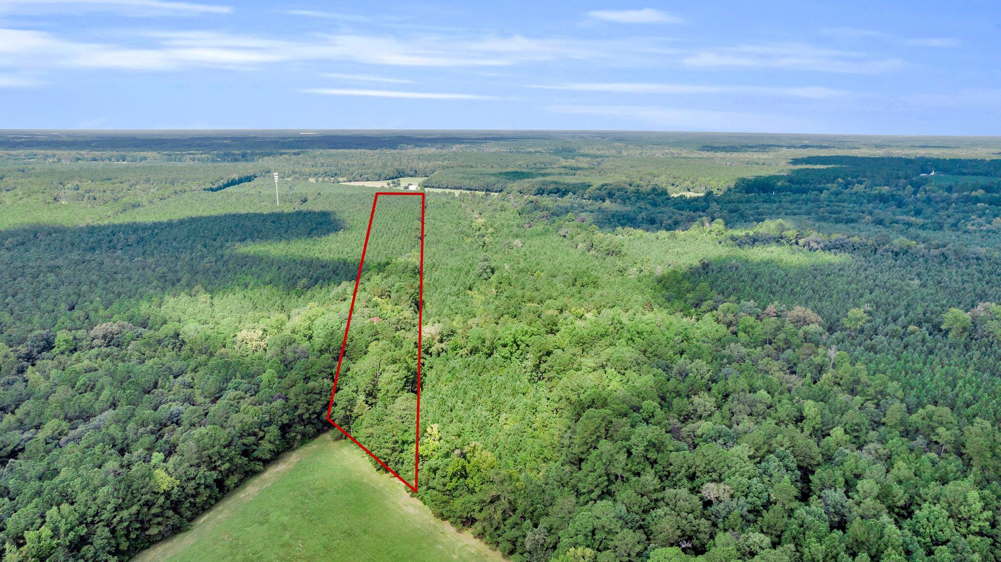 0 Jedburg Road Summerville, SC 29486 - Photo 7 of 14 CREM - 0 Jedburg Rd-7