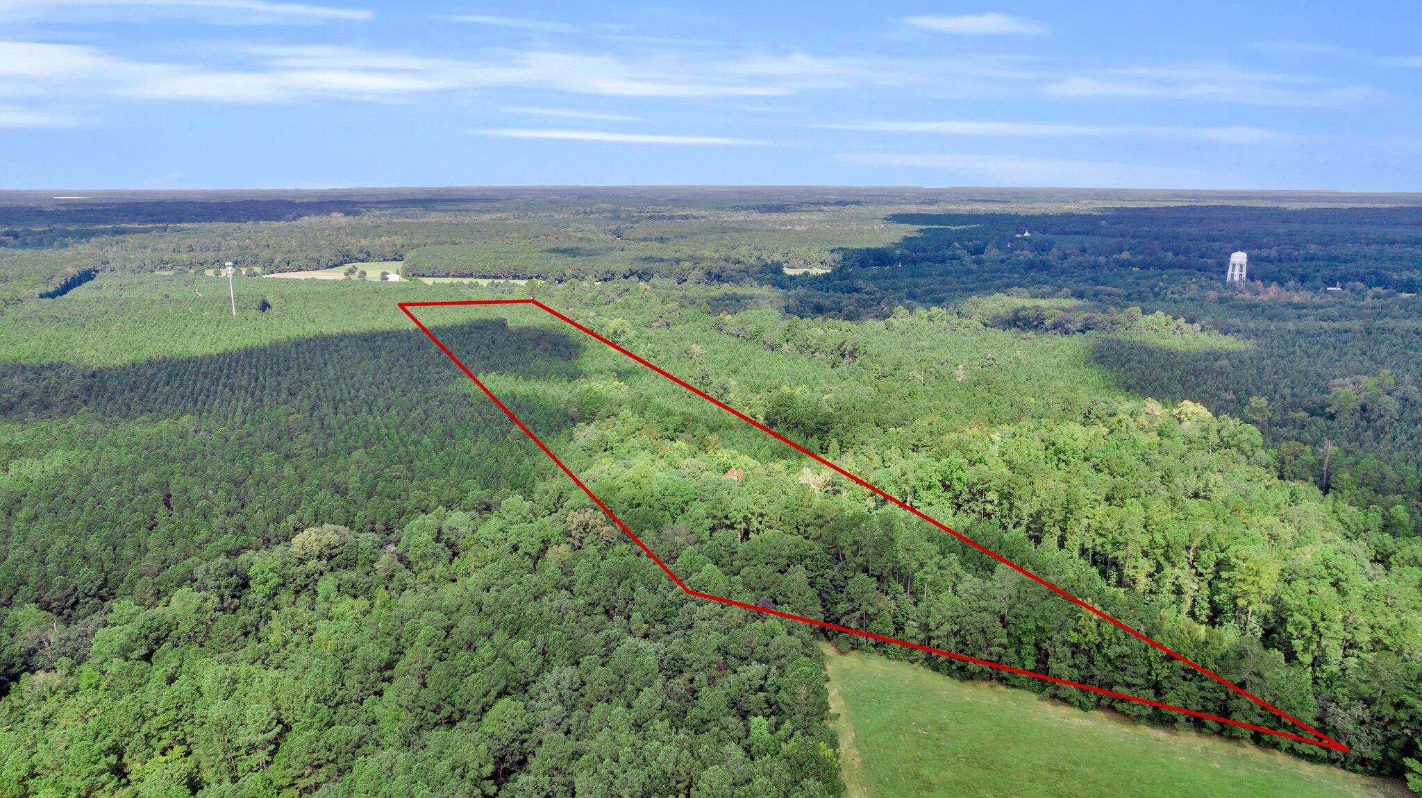 0 Jedburg Road Summerville, SC 29486 - Photo 8 of 14 CREM - 0 Jedburg Rd-8