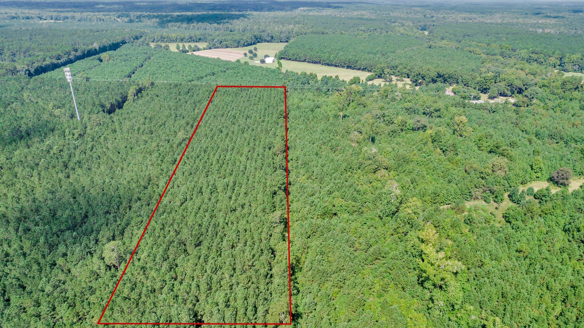 0 Jedburg Road Summerville, SC 29486 - Photo 9 of 14 CREM - 0 Jedburg Rd-9