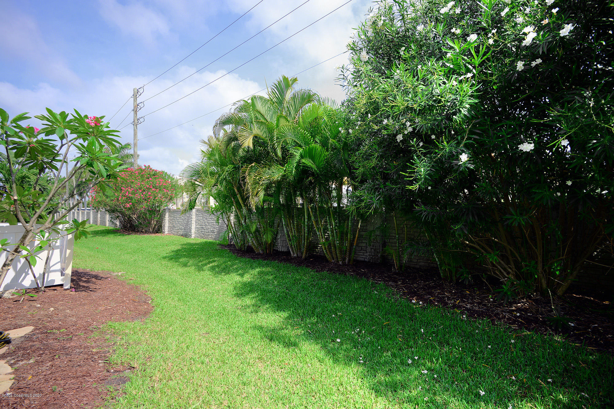 304 Intrepid Way Melbourne, FL 32903 - Photo 33 of 37 a view of a yard with plants and large trees