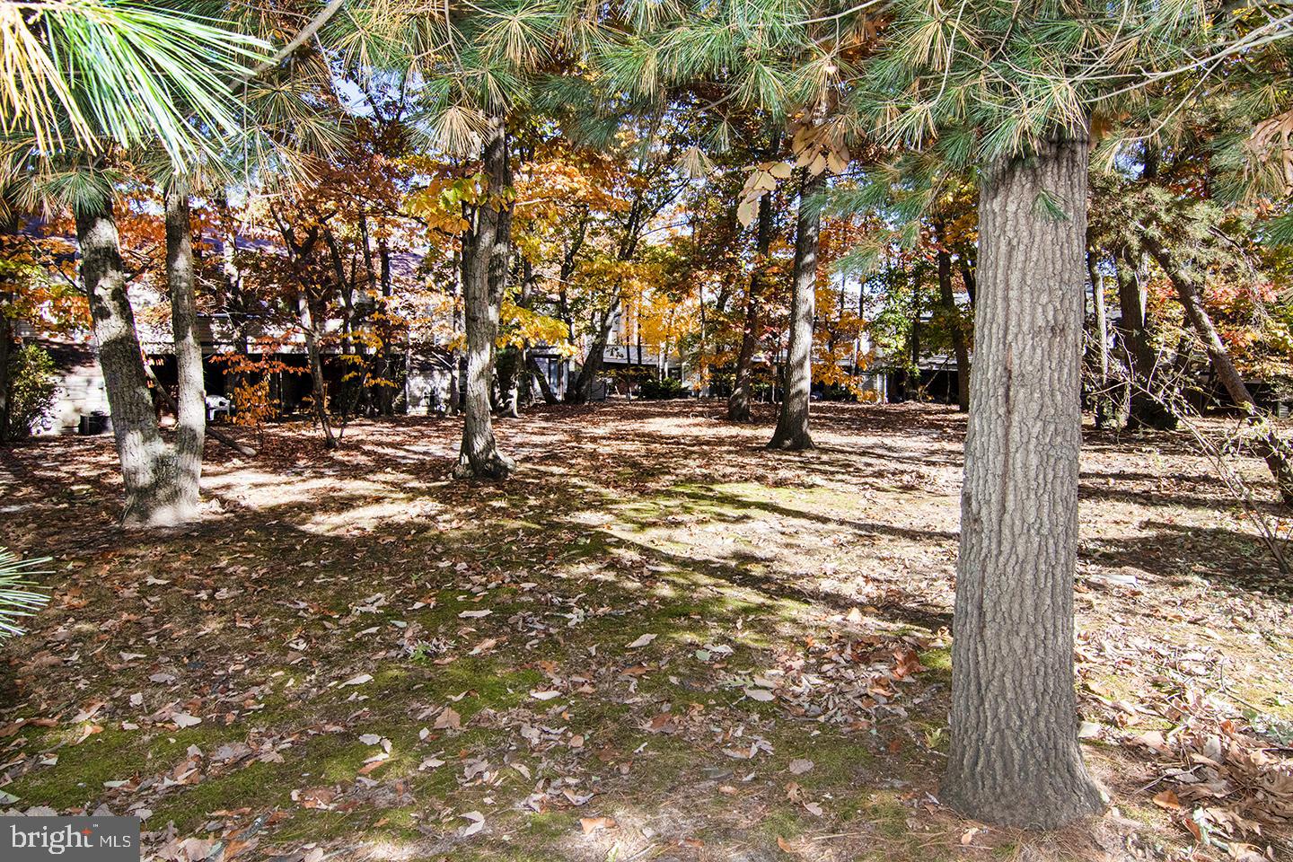 604 Bromley Estate Pine Hill, NJ 08021 - Photo 36 of 37