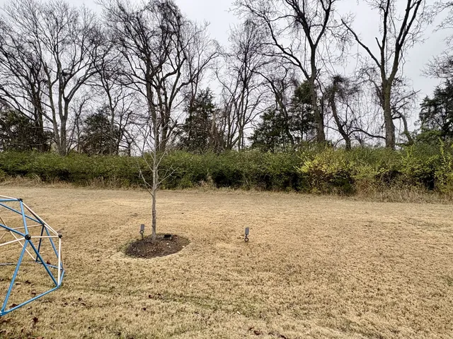 a backyard of a house with lots of green space