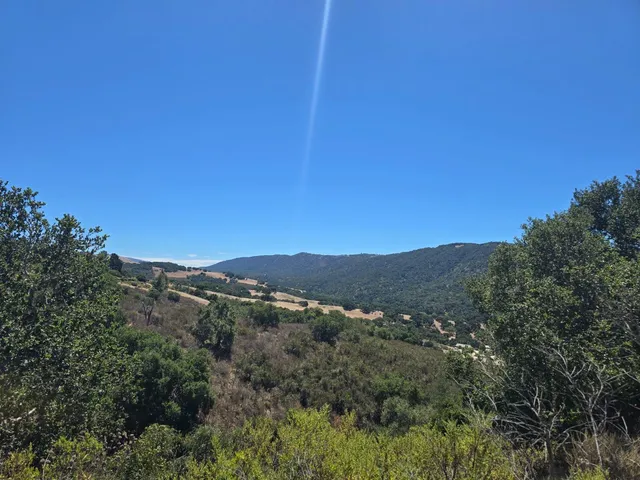 a view of a dry yard with trees