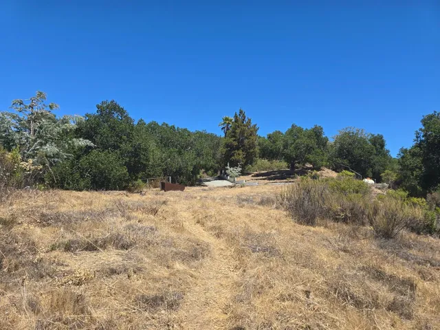 a view of a dry yard with mountains in the background