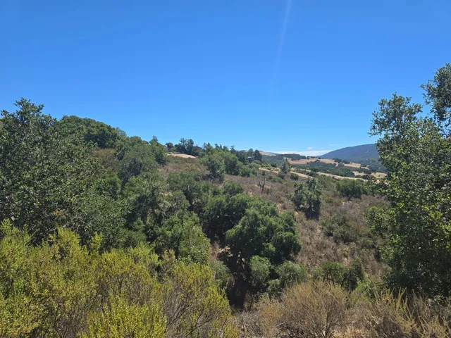 a view of the backyard of the house