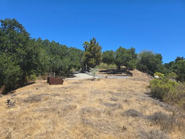 a view of a large tree with a mountain in the background