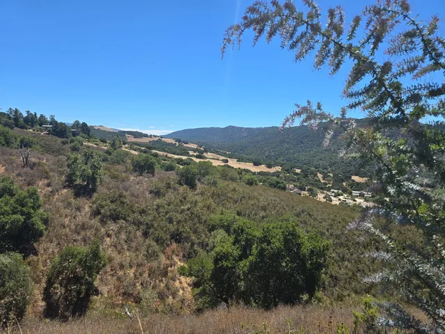 a backyard of a house