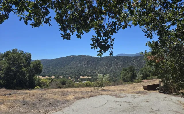 a view of a yard with a tree