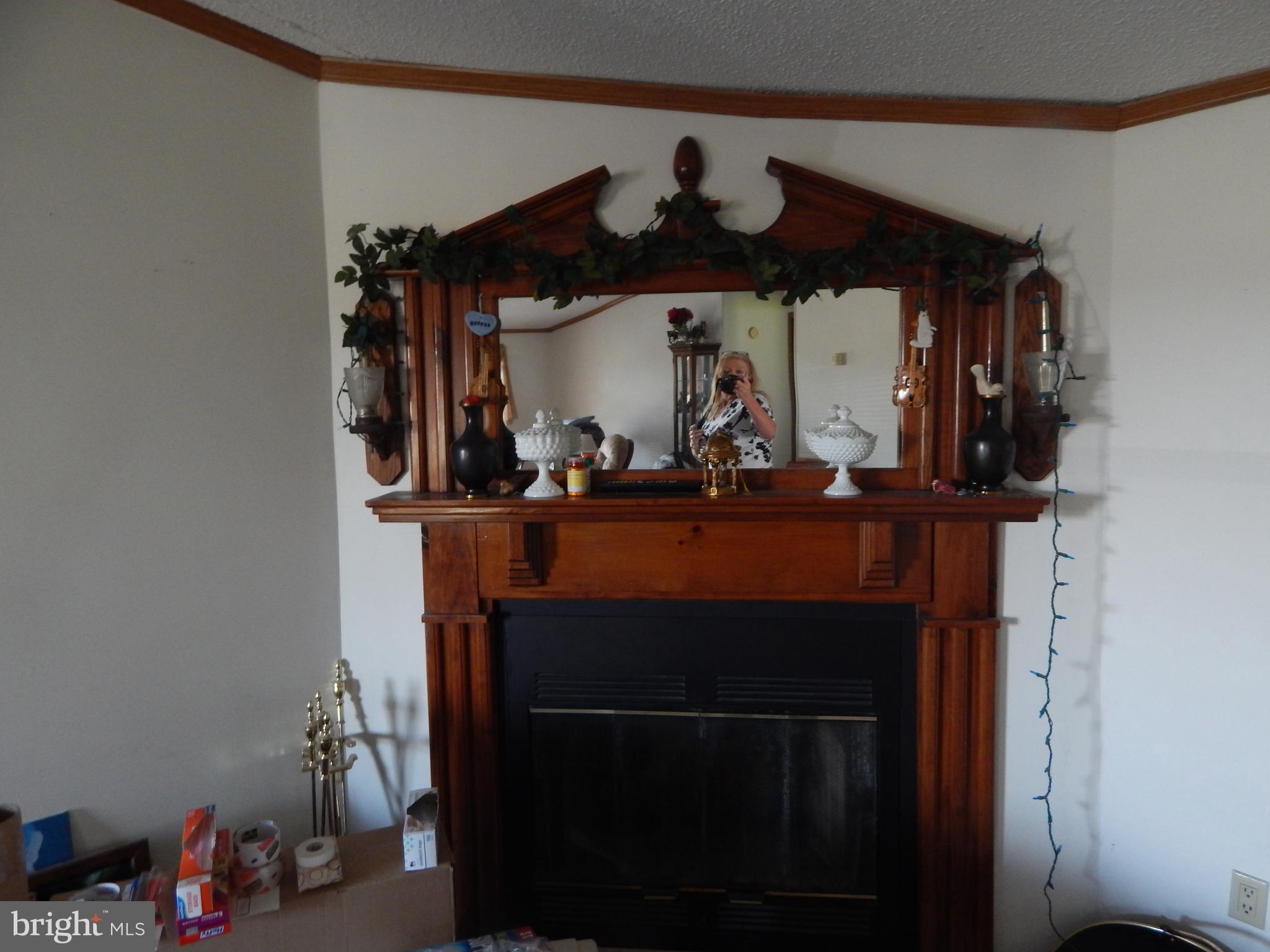 16719 Fitzgeralds Road Lincoln, DE 19960 - Photo 25 of 49 Gallery Image 25