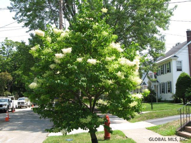 1170 Ardsley Road Schenectady, NY 12308 - Photo 3 of 19 Photo 3