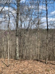 4 Hidden Farms Road Poca, WV 25159 - Photo 14 of 40 Gallery Image 14