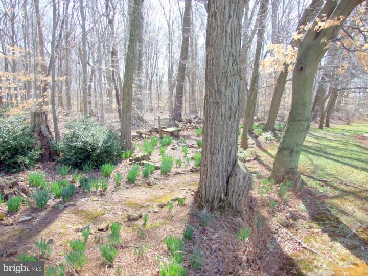 677 Fremont Road Nottingham, PA 19362 - Photo 12 of 15