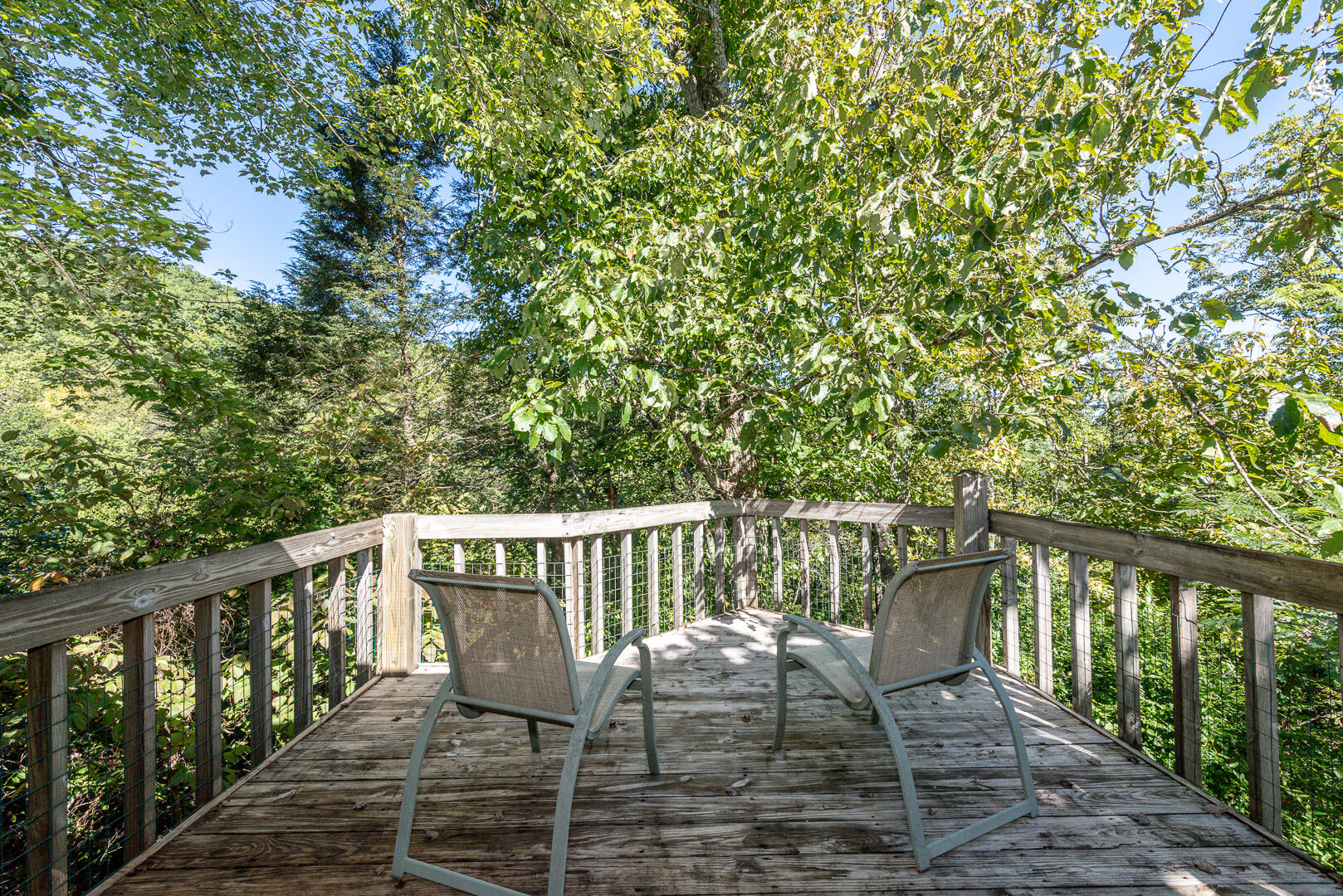4435 Grindstone Ridge Road Pigeon Forge, TN 37863 - Photo 27 of 40 DSC_3732