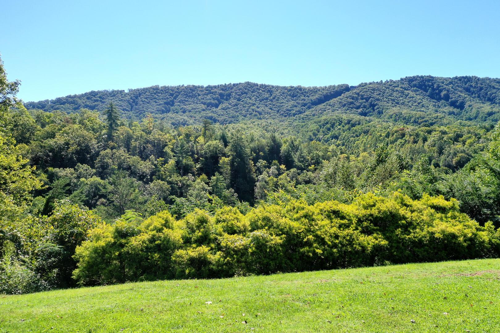 4435 Grindstone Ridge Road Pigeon Forge, TN 37863 - Photo 10 of 40 Dsc_7105-8