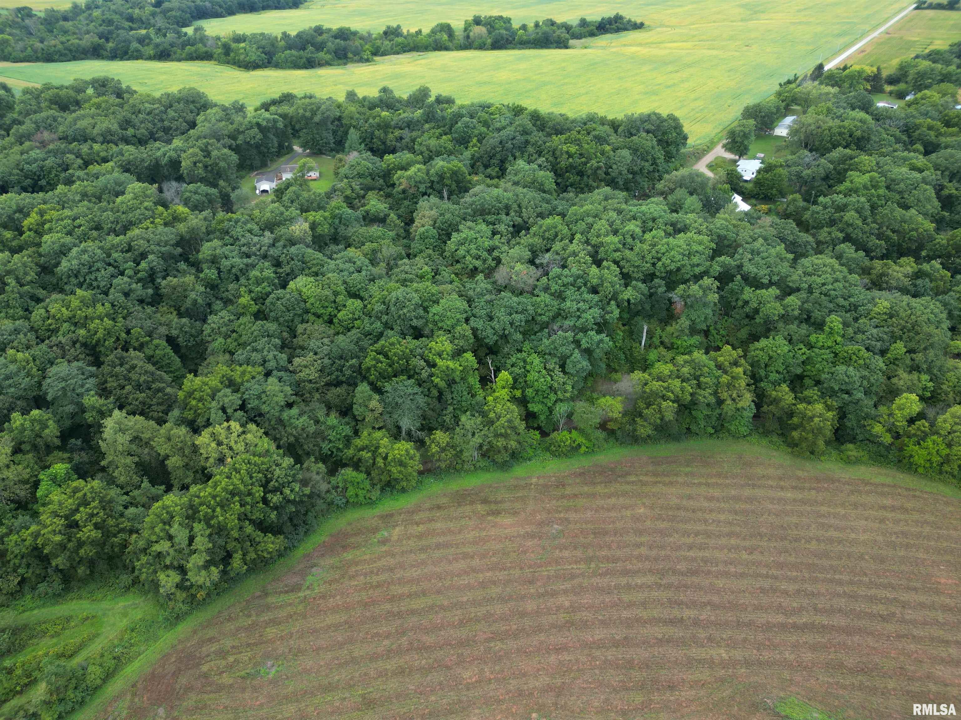 0 East Birds Corner Road Glasford, IL 61533 - Photo 3 of 9 Gallery Image 3