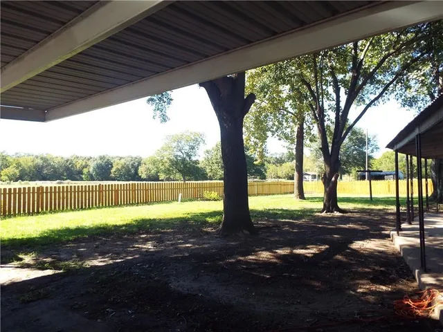 a view of a backyard with tree