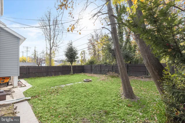 a view of a backyard with a tree