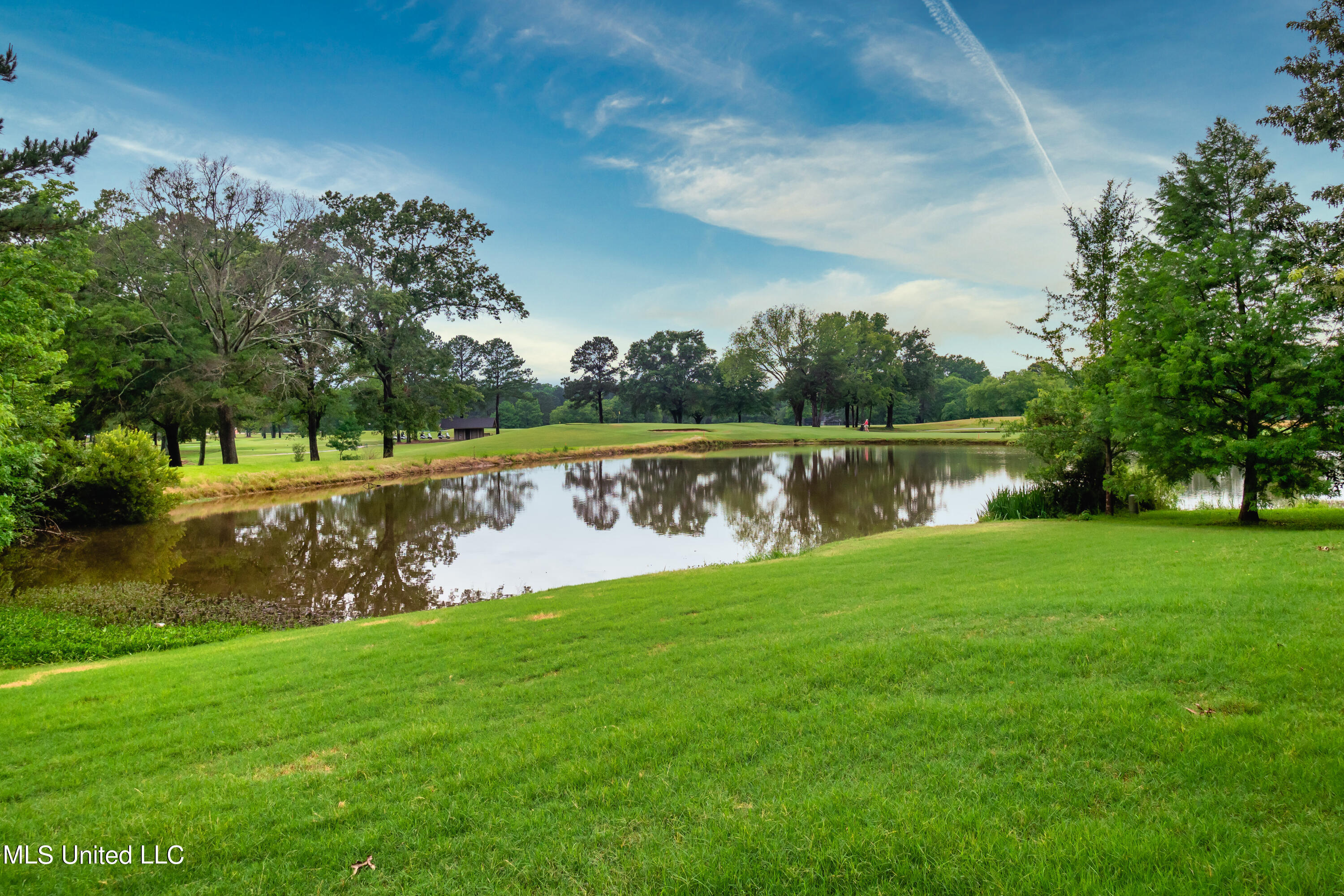 517 Fawn Cove Canton, MS 39046 - Photo 38 of 50 P6100111-Edit