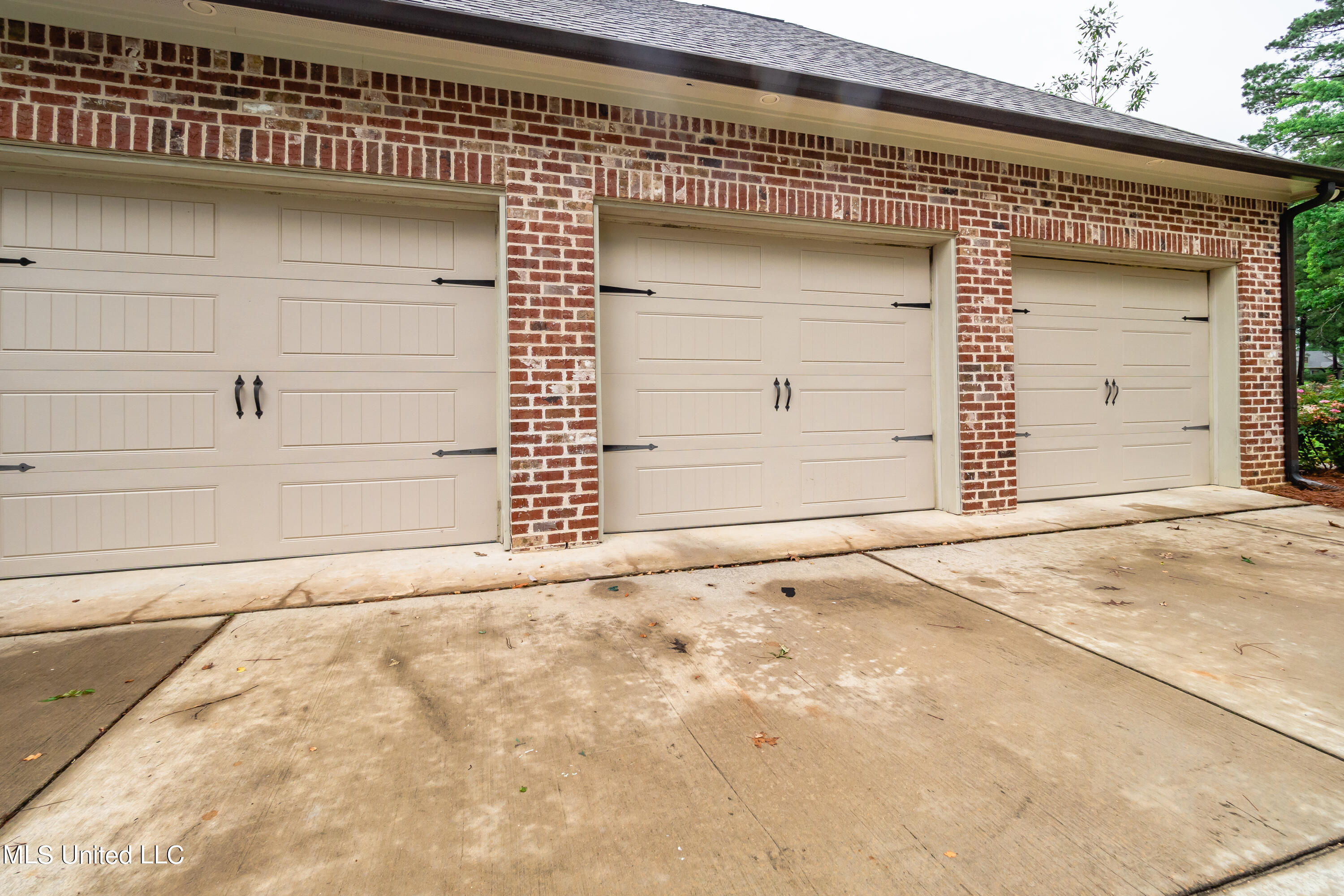 517 Fawn Cove Canton, MS 39046 - Photo 4 of 50 P6100113