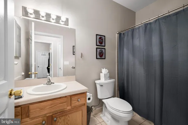a bathroom with a sink a toilet a mirror and shower curtain