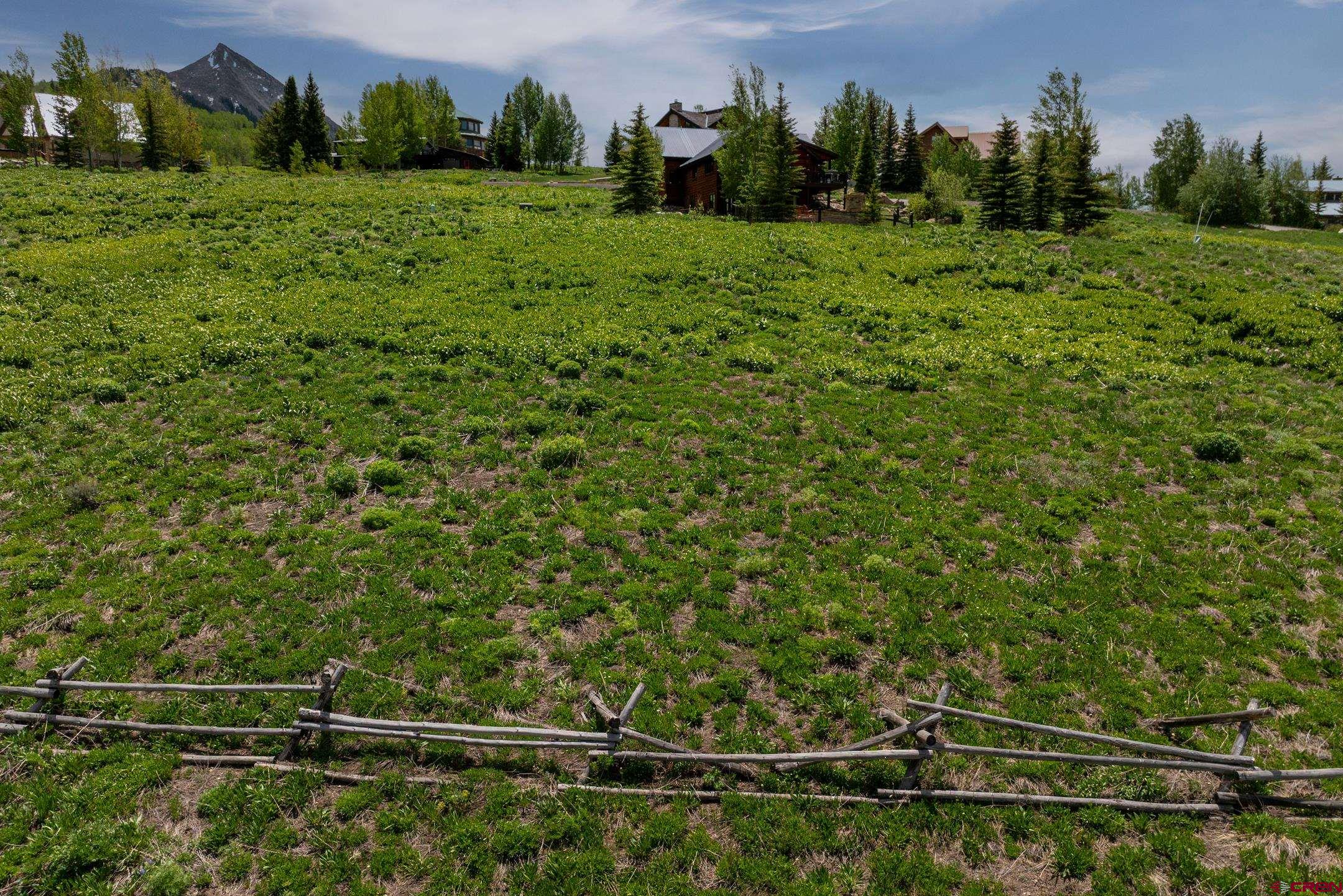 918 Gothic Road Crested Butte, CO 81225 - Photo 3 of 23