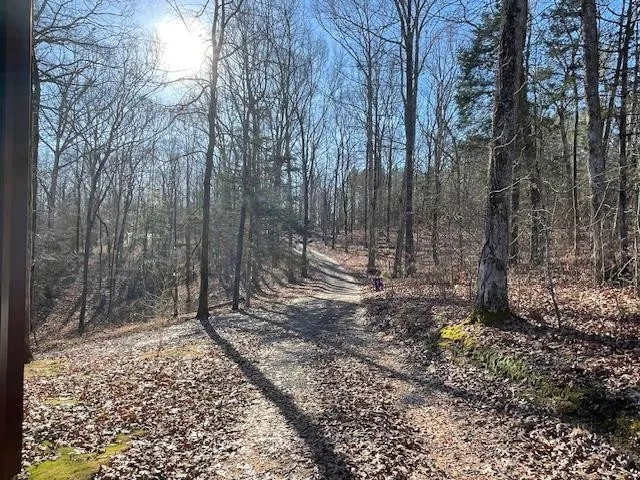 $289,900 | 290 Potleg Trail, Henderson, TN 38340