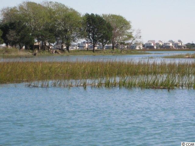 5602 Rosehall Drive Murrells Inlet, SC 29576 - Photo 10 of 17 Gallery Image 10