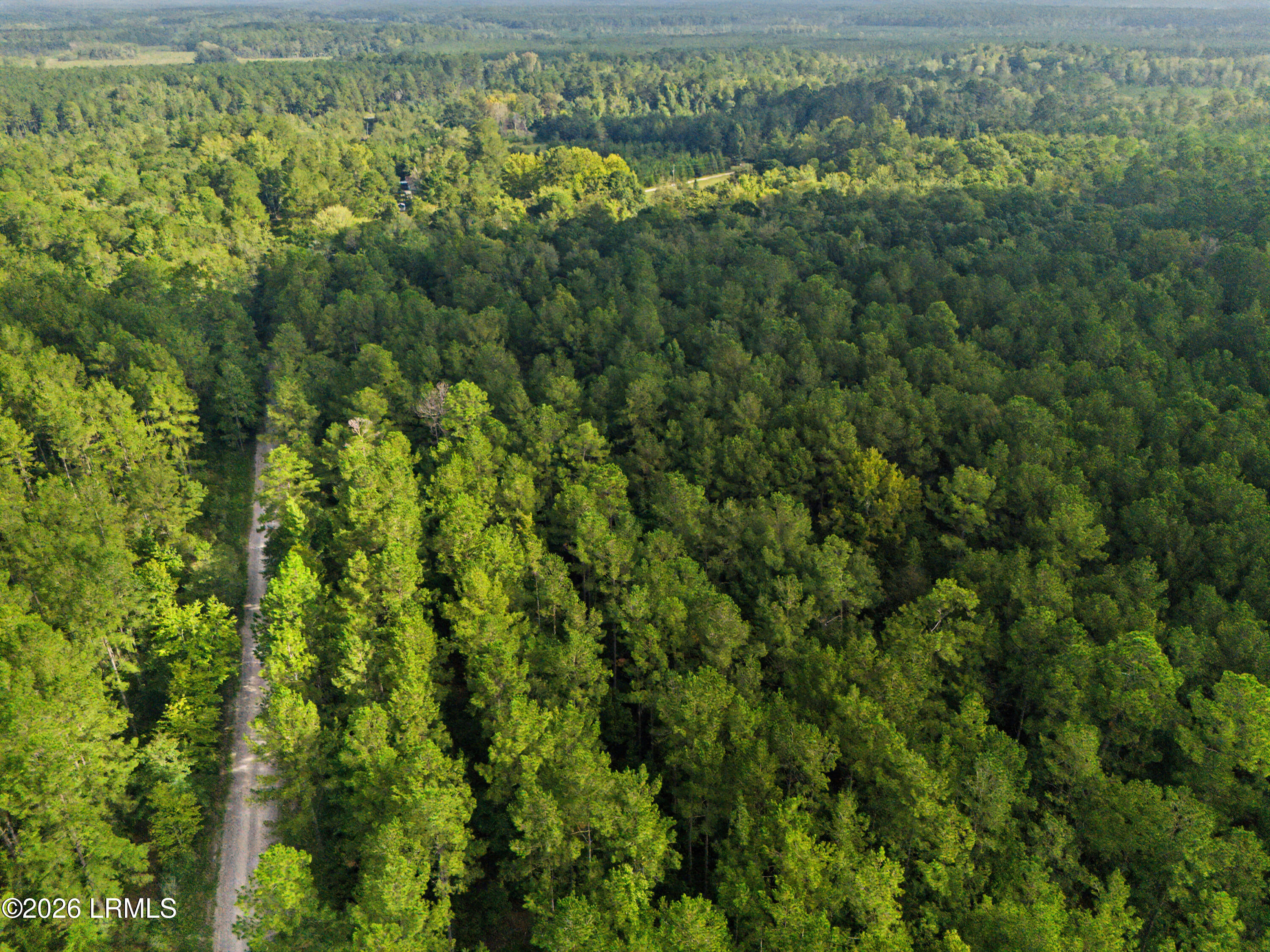 0 Tree Farm Road Walterboro, SC 29488 - Photo 9 of 30 DJI_20260921220052_0310_D