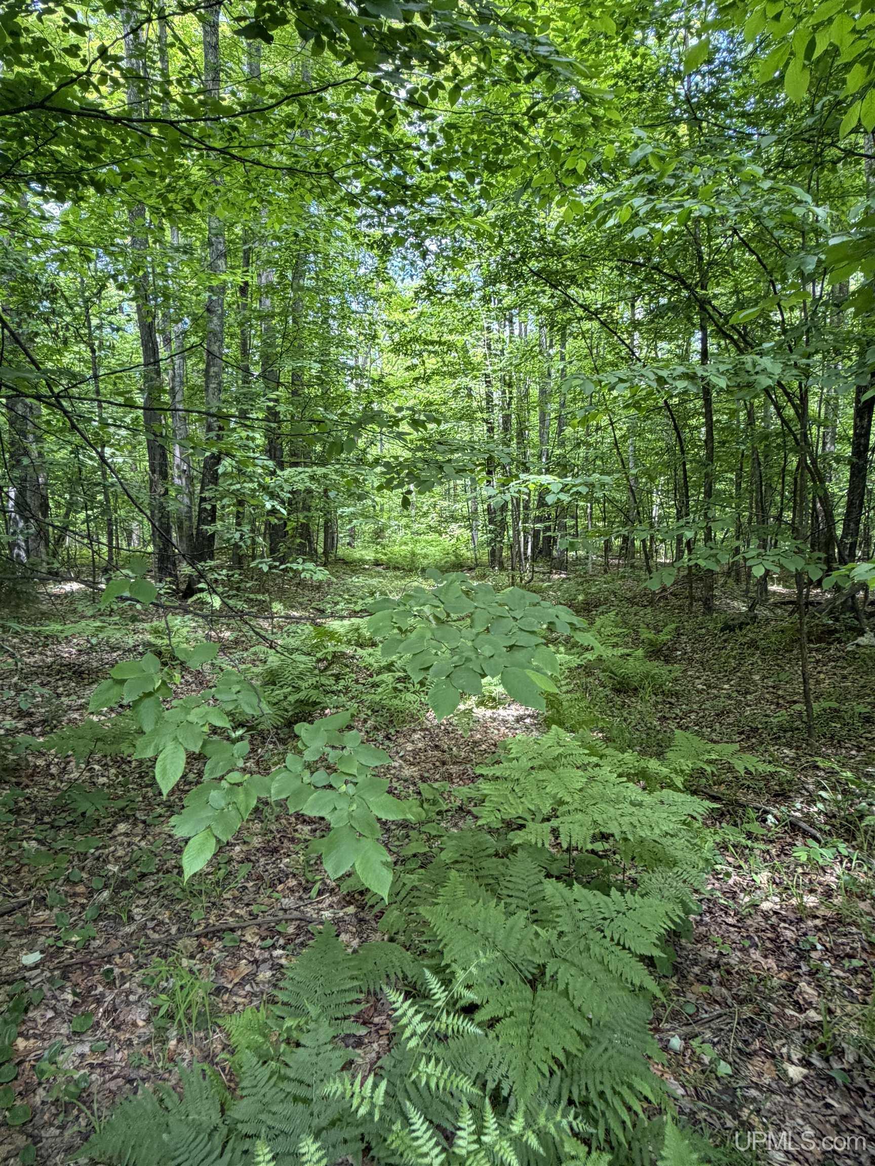 Tbd20 Skanee Road Skanee, MI 49962 - Photo 13 of 26
