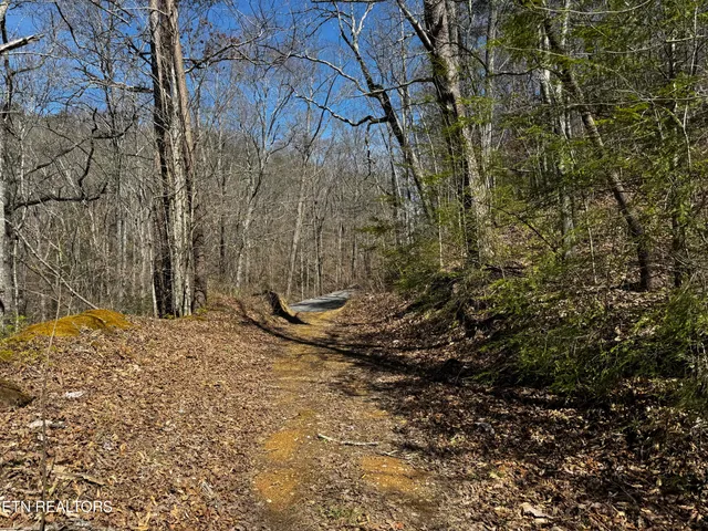 $63,950 | Melvin Hollow Road, Pioneer, TN 37847