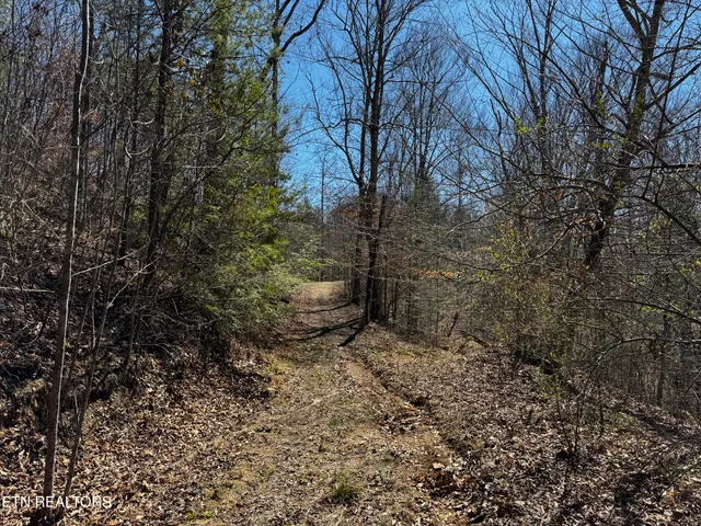 $63,950 | Melvin Hollow Road, Pioneer, TN 37847