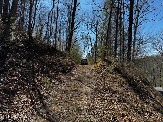 $63,950 | Melvin Hollow Road, Pioneer, TN 37847