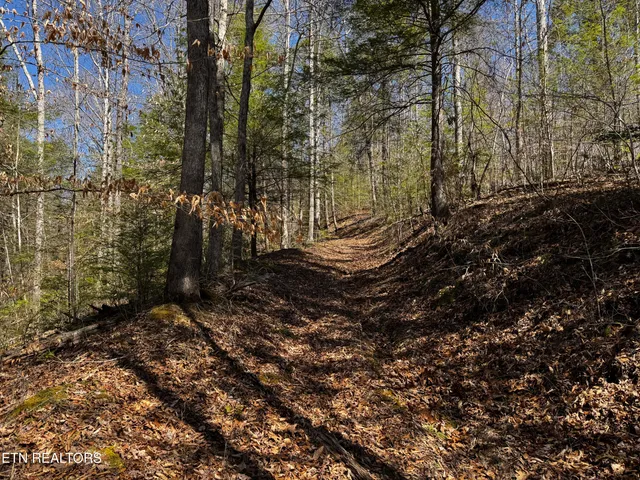 $63,950 | Melvin Hollow Road, Pioneer, TN 37847