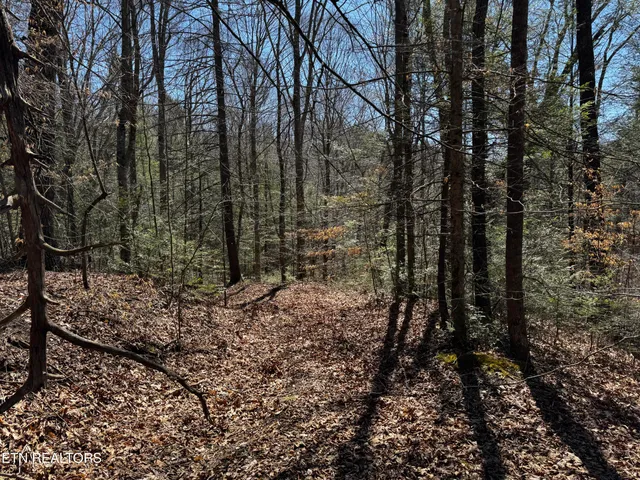 $63,950 | Melvin Hollow Road, Pioneer, TN 37847