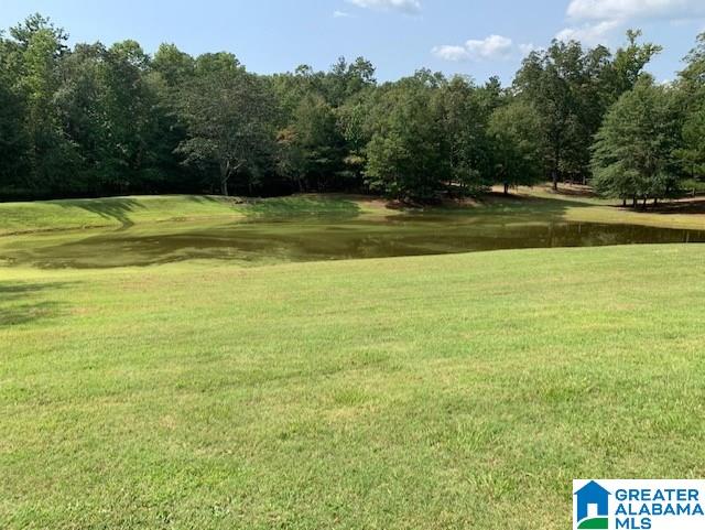 9465 Marsh Mountain Road Pinson, AL 35126 - Photo 3 of 38