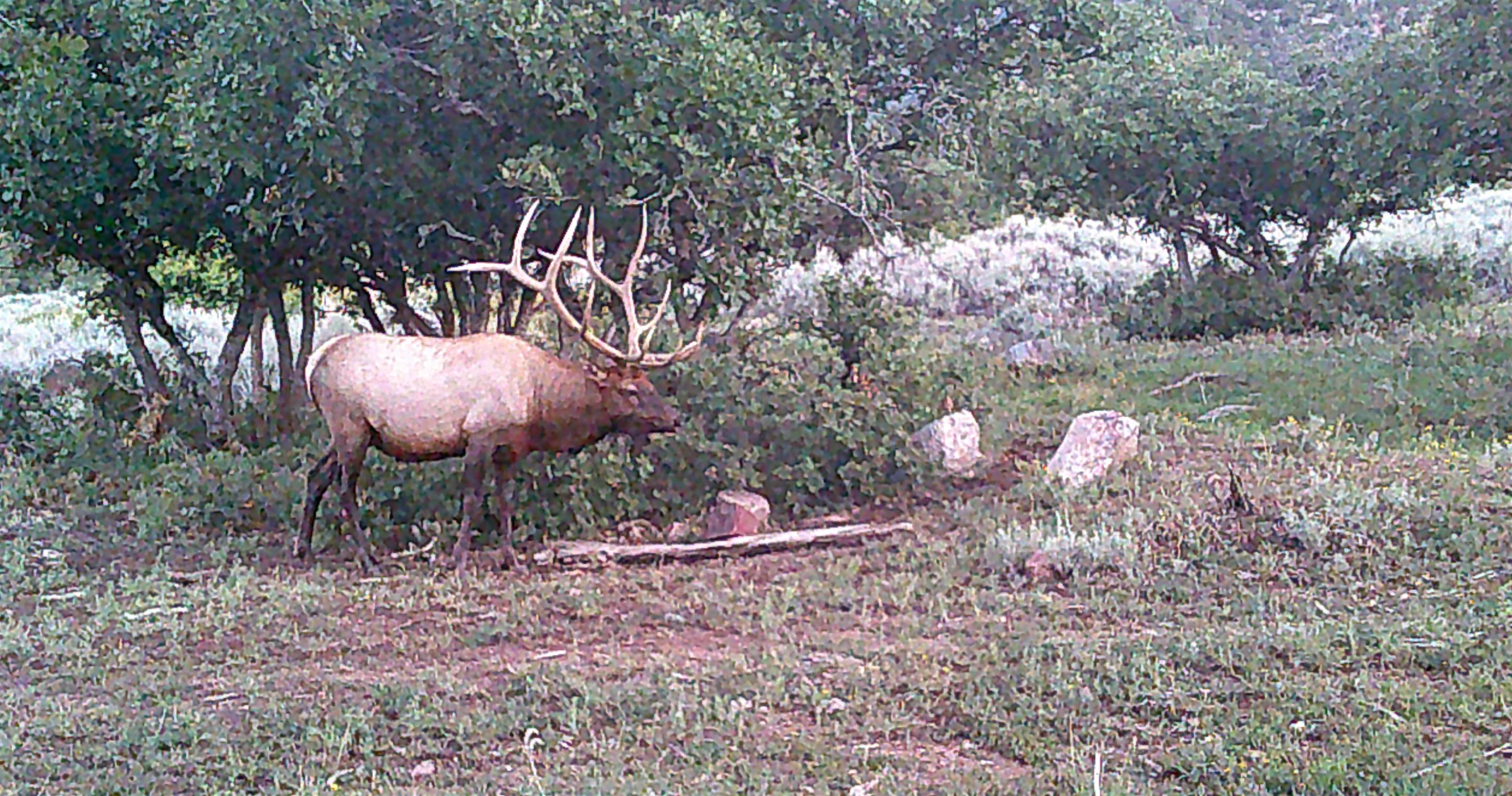 Tbd Tbd Ms Road Glade Park, CO 81523 - Photo 20 of 20
