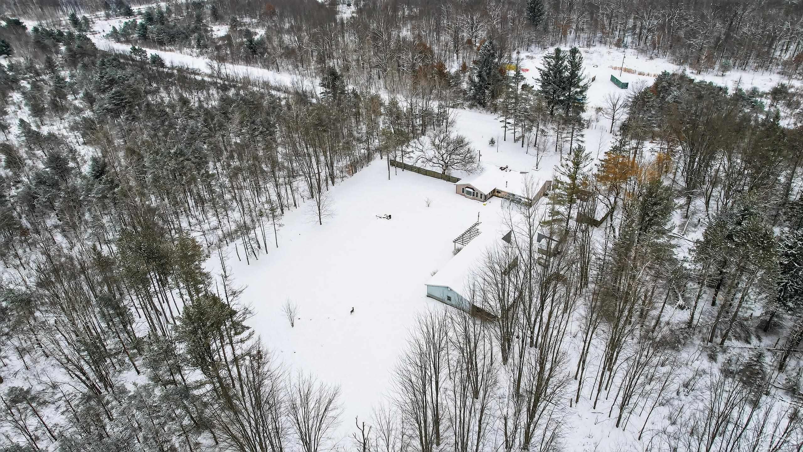 3636 West Nielsen Road Coleman, MI 48618 - Photo 40 of 43