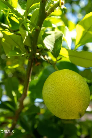 $699,000 | 12159 Hoyt Street, Sylmar, CA 91342