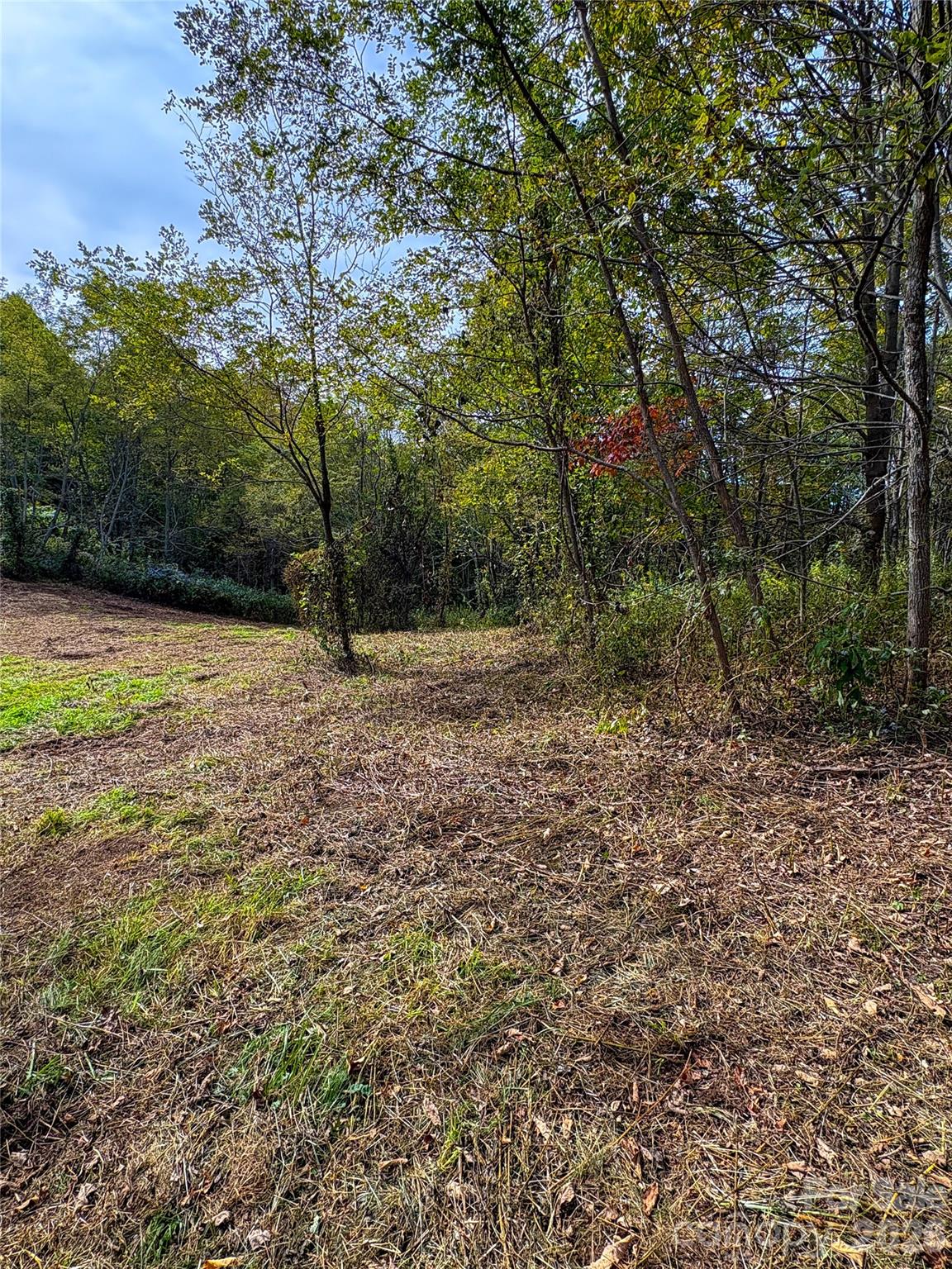 2 Turkey Trot Road Clyde, NC 28721 - Photo 4 of 48