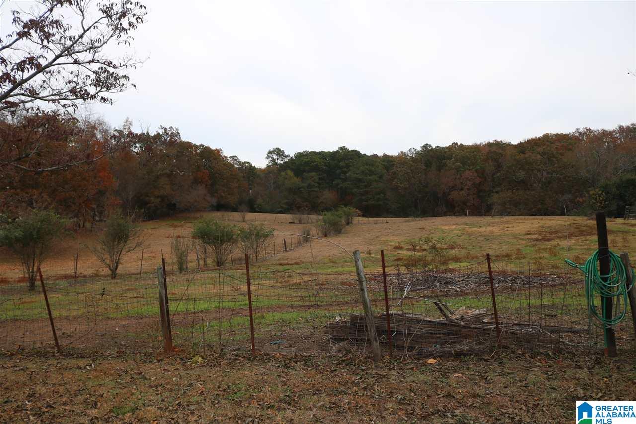 6763 G & H Road Bessemer, AL 35022 - Photo 7 of 21