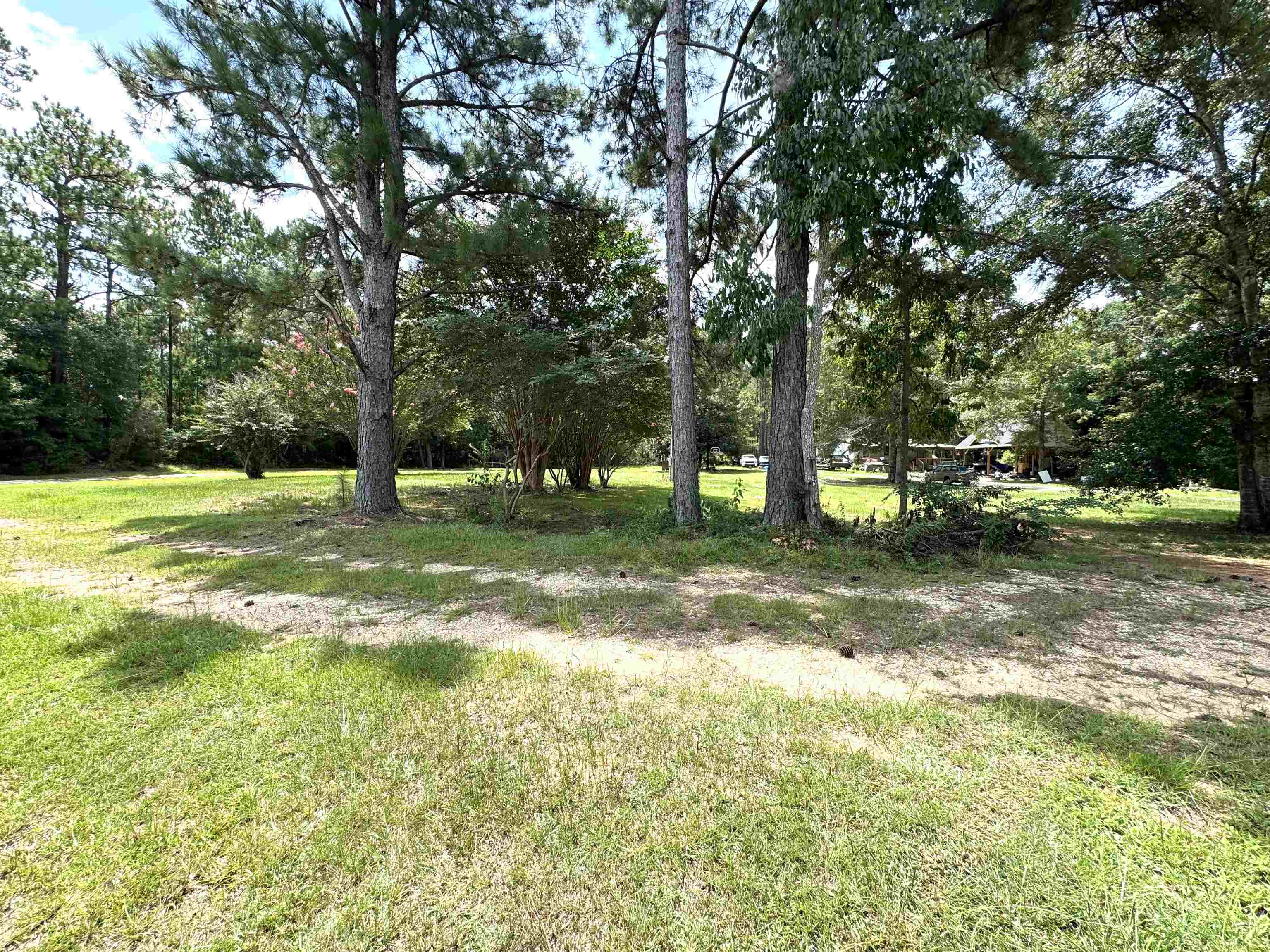 24220 C Patterson Road Robertsdale, AL 36567 - Photo 4 of 9 Yard