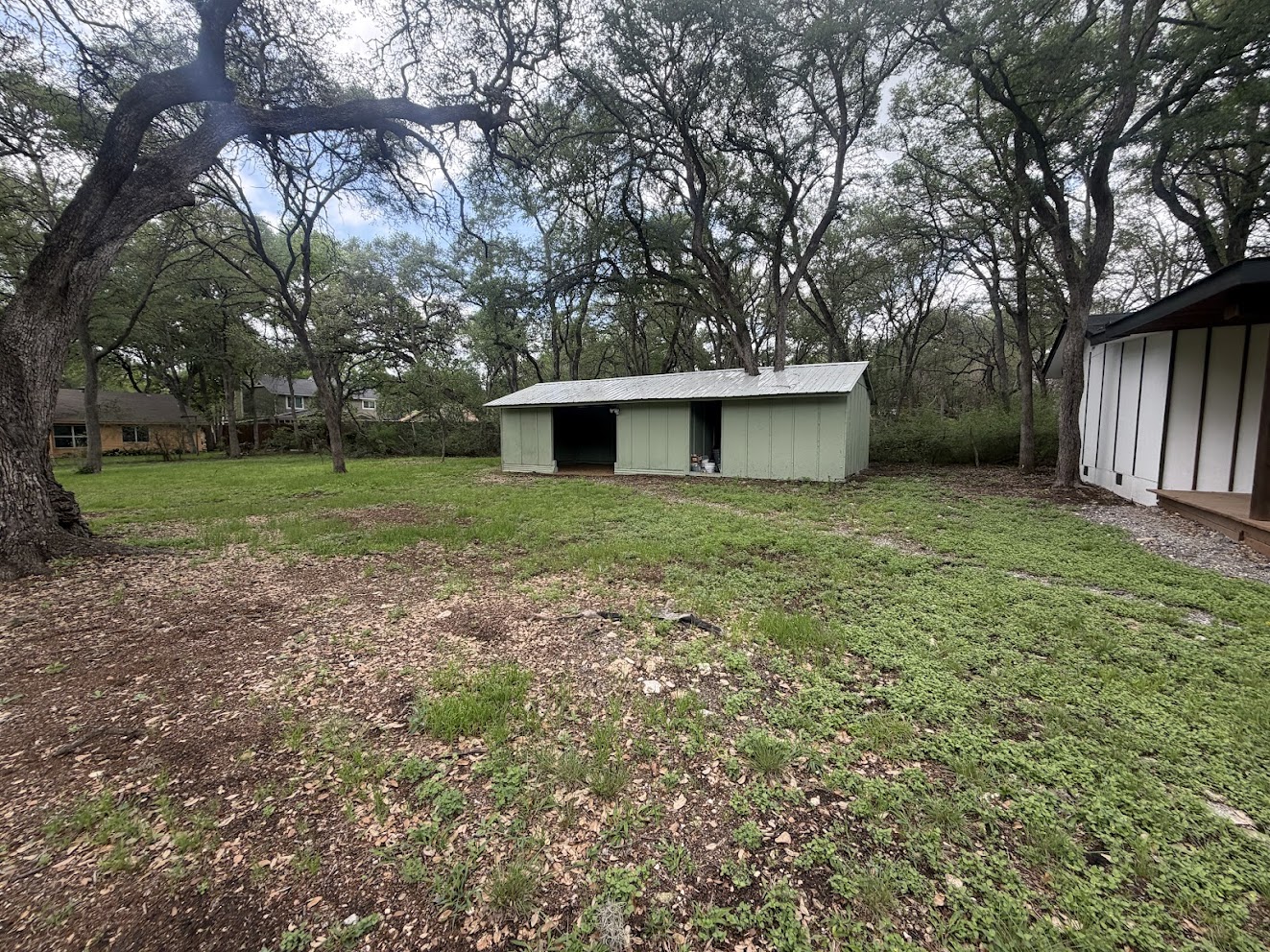 8904 Chisholm Lane Austin, TX 78748 - Photo 4 of 40 Expansive outdoor grounds featuring mature trees and a detached shed with a metal roof and open entrance