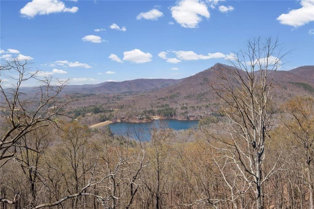 360 Locust Trail Jasper, GA 30143 - Photo 12 of 62