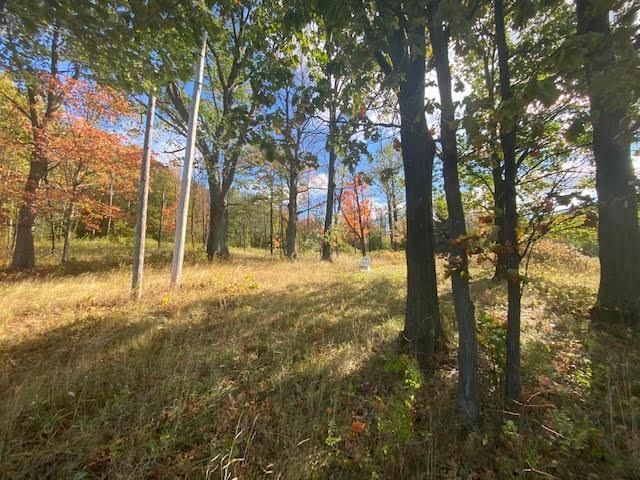 Lot 2 French Hill Rd Street St. Albans, VT 05478 - Photo 4 of 5