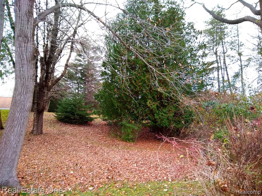 0 Sashabaw Road Ortonville, MI 48462 - Photo 5 of 7