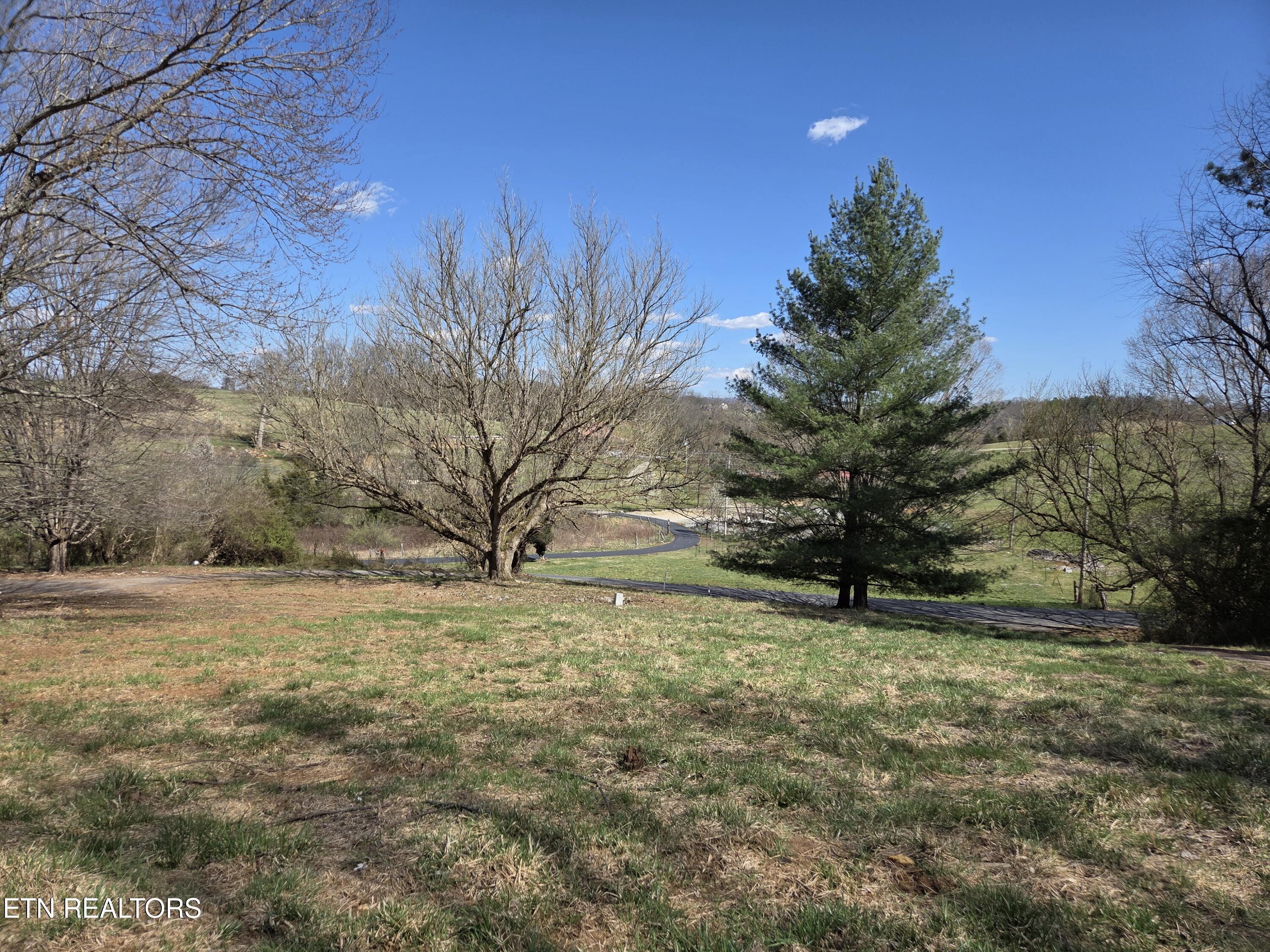 985 Rangewood Road Piney Flats, TN 37686 - Photo 4 of 7 photo 2