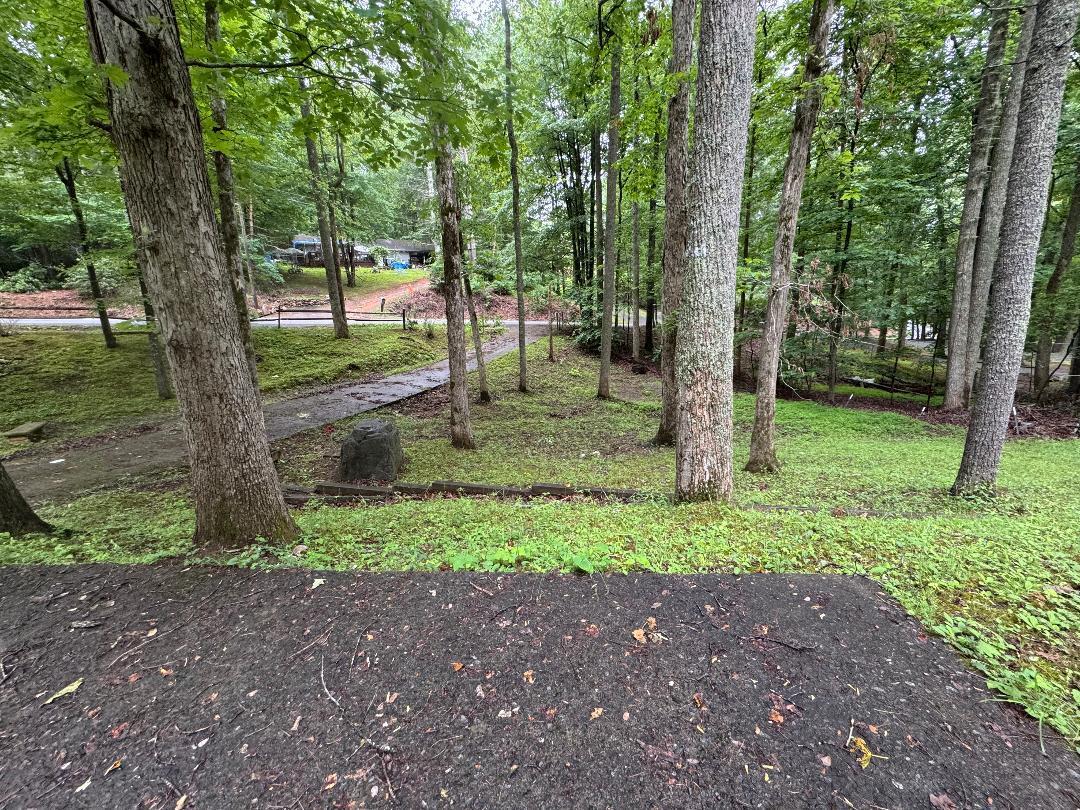 388 Salt House Branch Road Henry, VA 24102 - Photo 42 of 42 a backyard of a house with lots of green space
