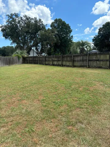 a view of a yard with a tree