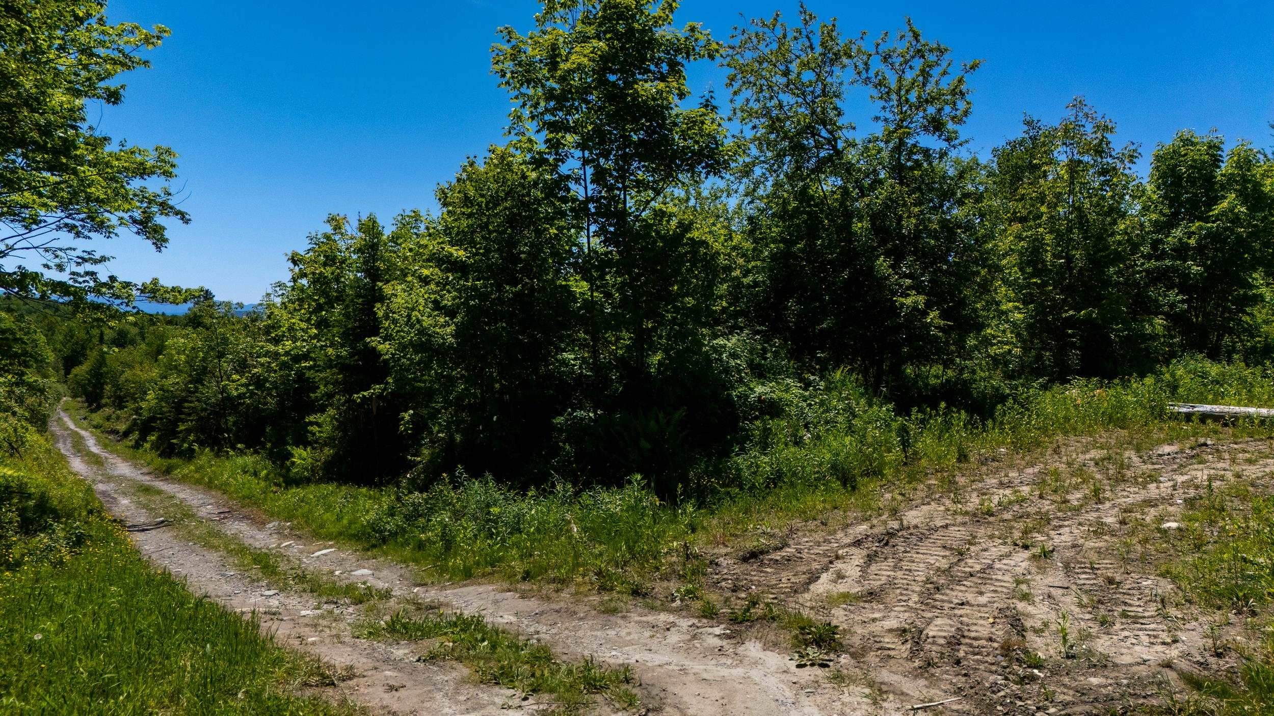 0 Mitchell Road, Unit 4A Concord, VT 05824 - Photo 6 of 9